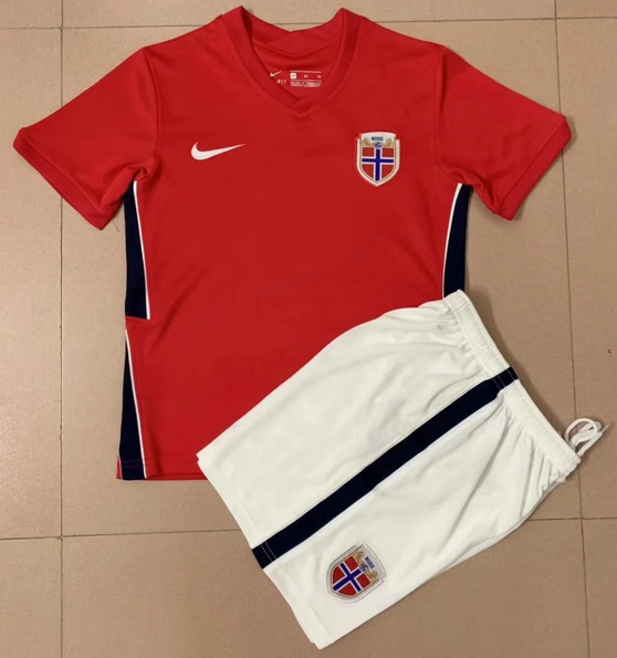 Kids Norway 2020-2021 EURO Home Soccer Kits Shirt With Shorts